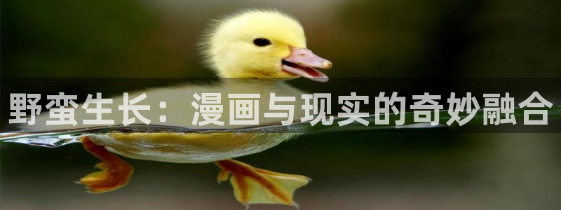 91漫画下载免费